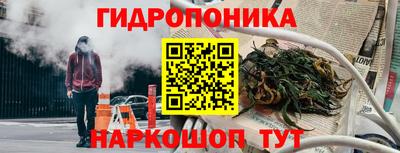 прущая мука Гатчина