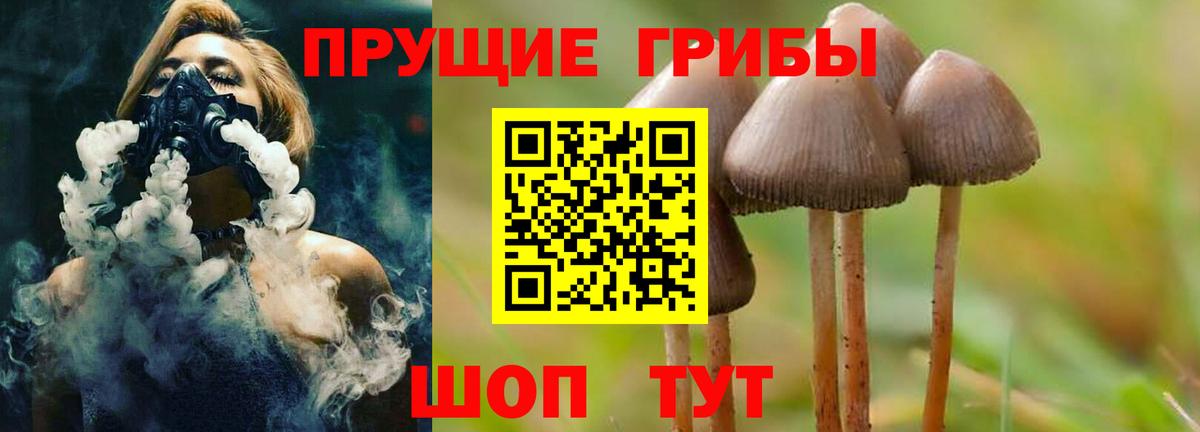 купить наркотик  Галлюциногенные грибы MAGIC MUSHROOMS  Вход с VPN  Псилоцибиновые грибы мухоморы  Камышин 